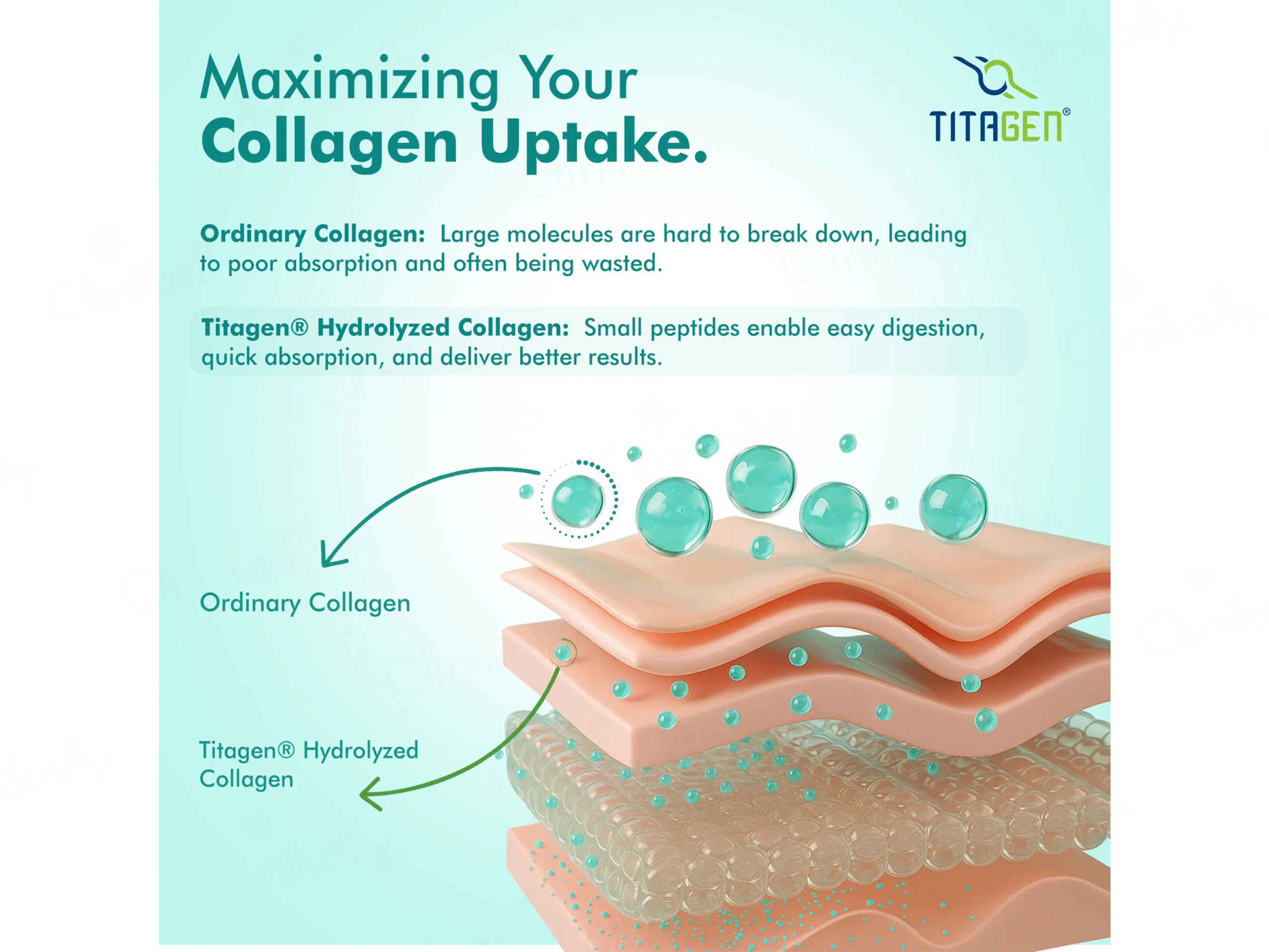 Dr. Morepen Hydrolyzed Type I & III Marine Collagen Powder - Lemon Lime Flavour - Image 4