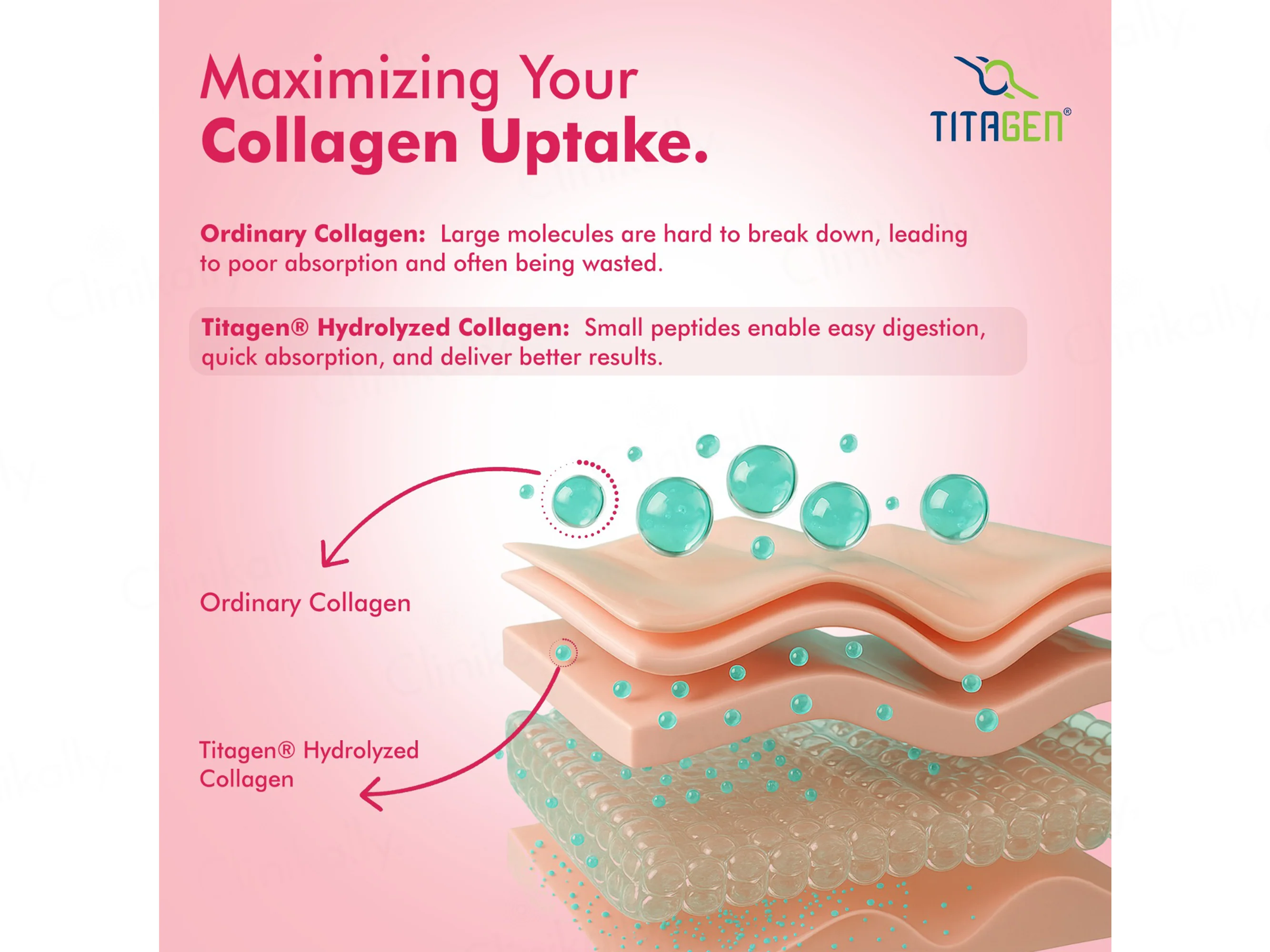 Dr. Morepen Hydrolyzed Type I & III Marine Skin Collagen Powder - Strawberry Watermelon Flavour - Image 4