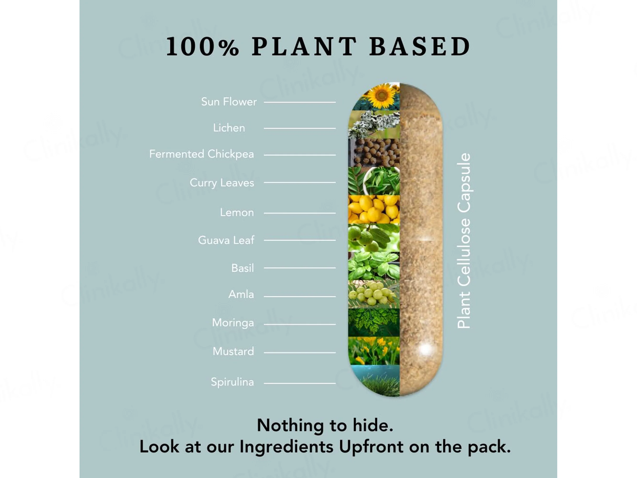 Earthful Women Multivitamin 18+ Nutraceutical Veg Capsule - Image 3