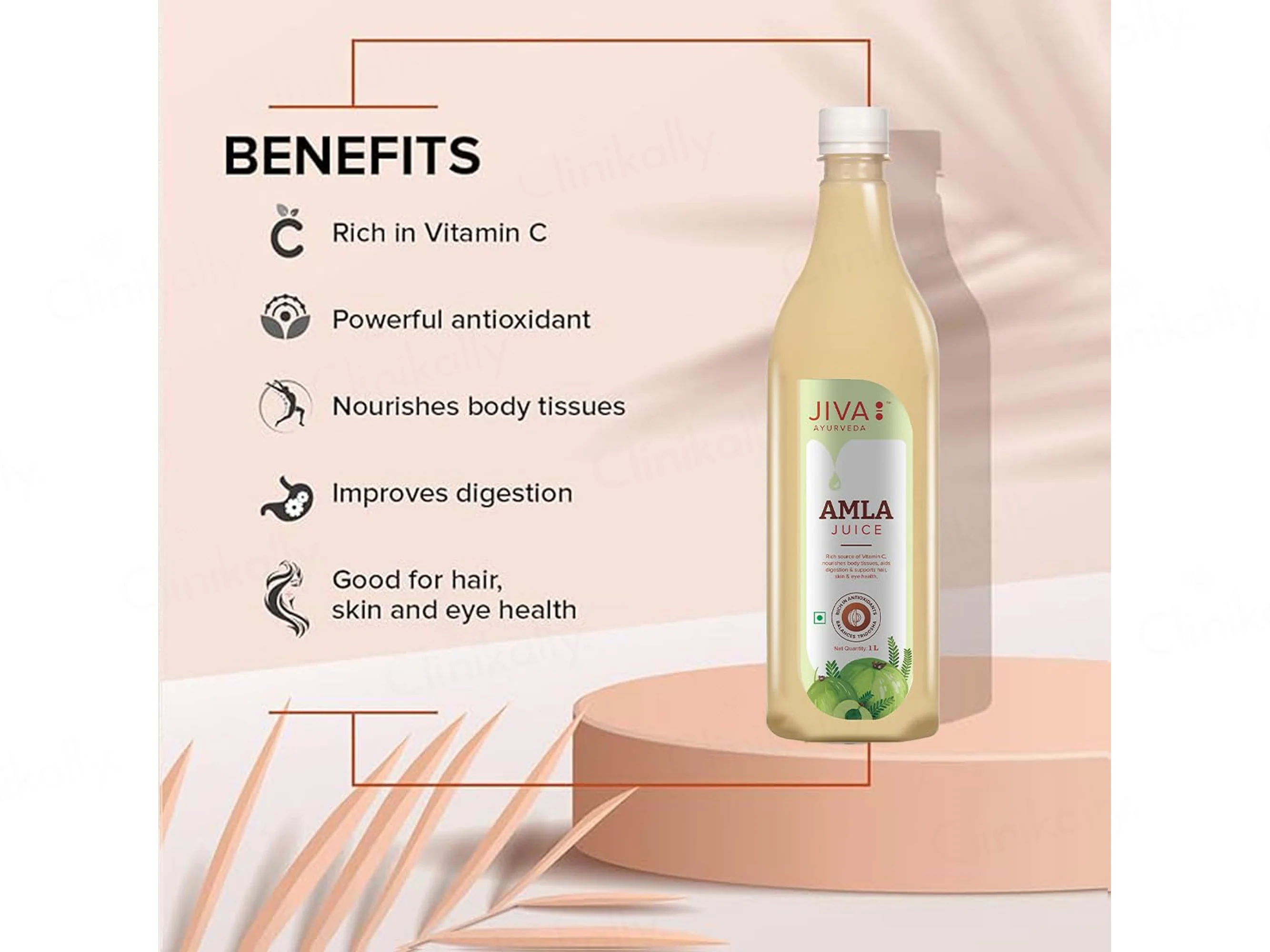 Jiva Ayurveda Amla Juice - Image 3