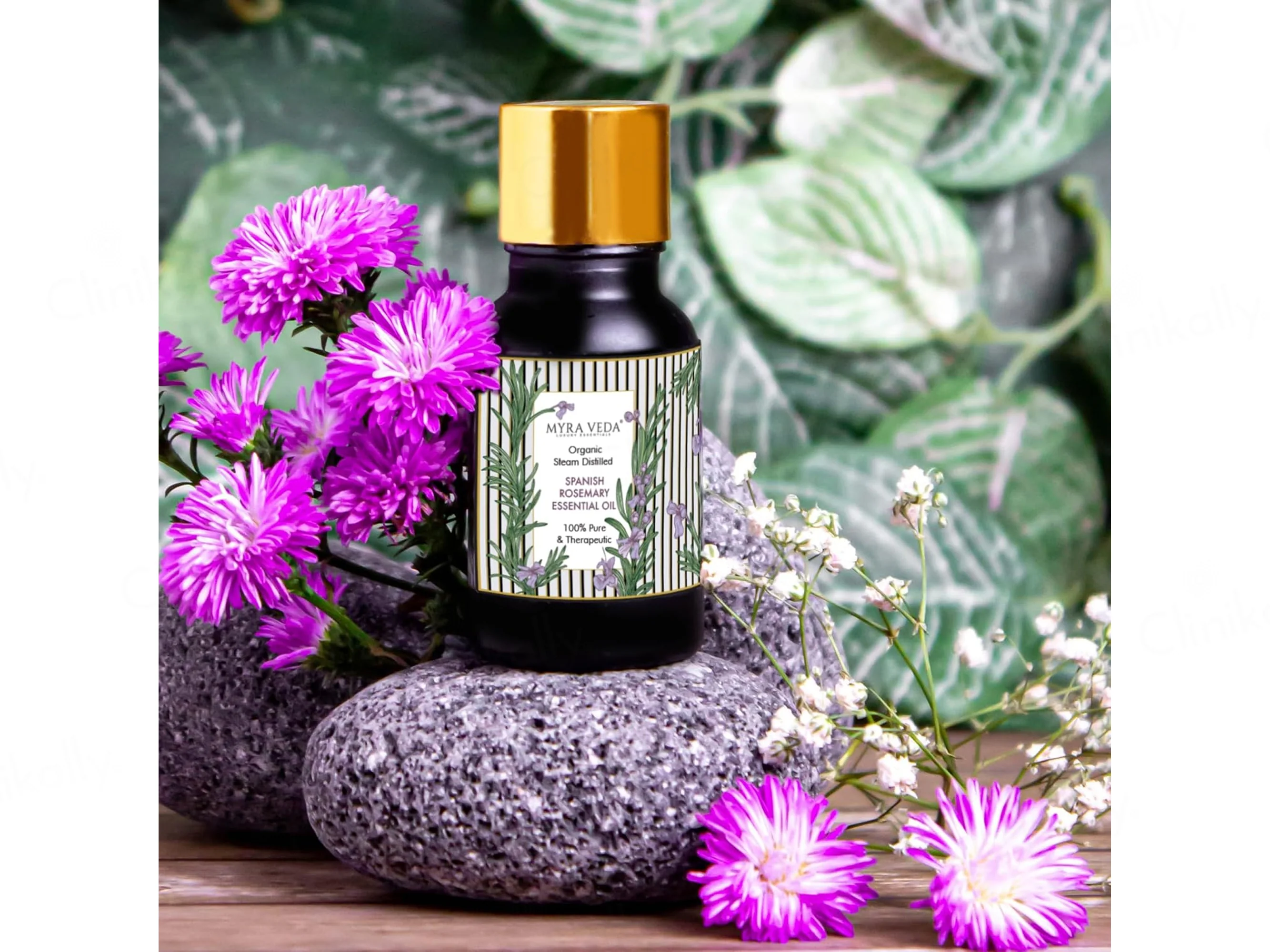Myra Veda Spanish Rosemary Essential Oil - Image 3