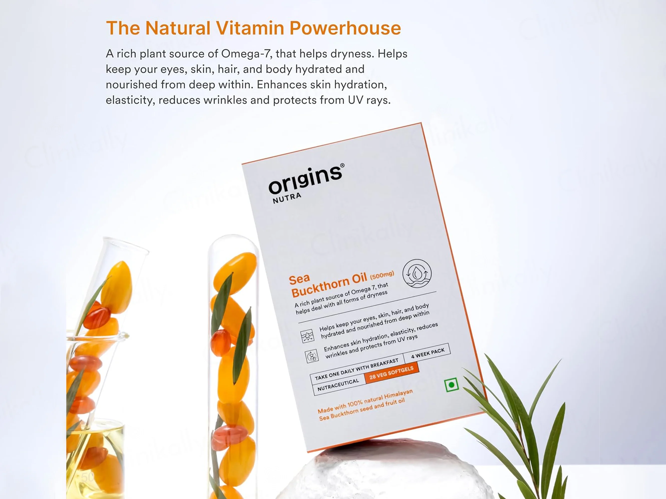 Origins Nutra Sea Buckthorn Oil 500mg Nutraceutical Veg Softgel Capsule - Image 2