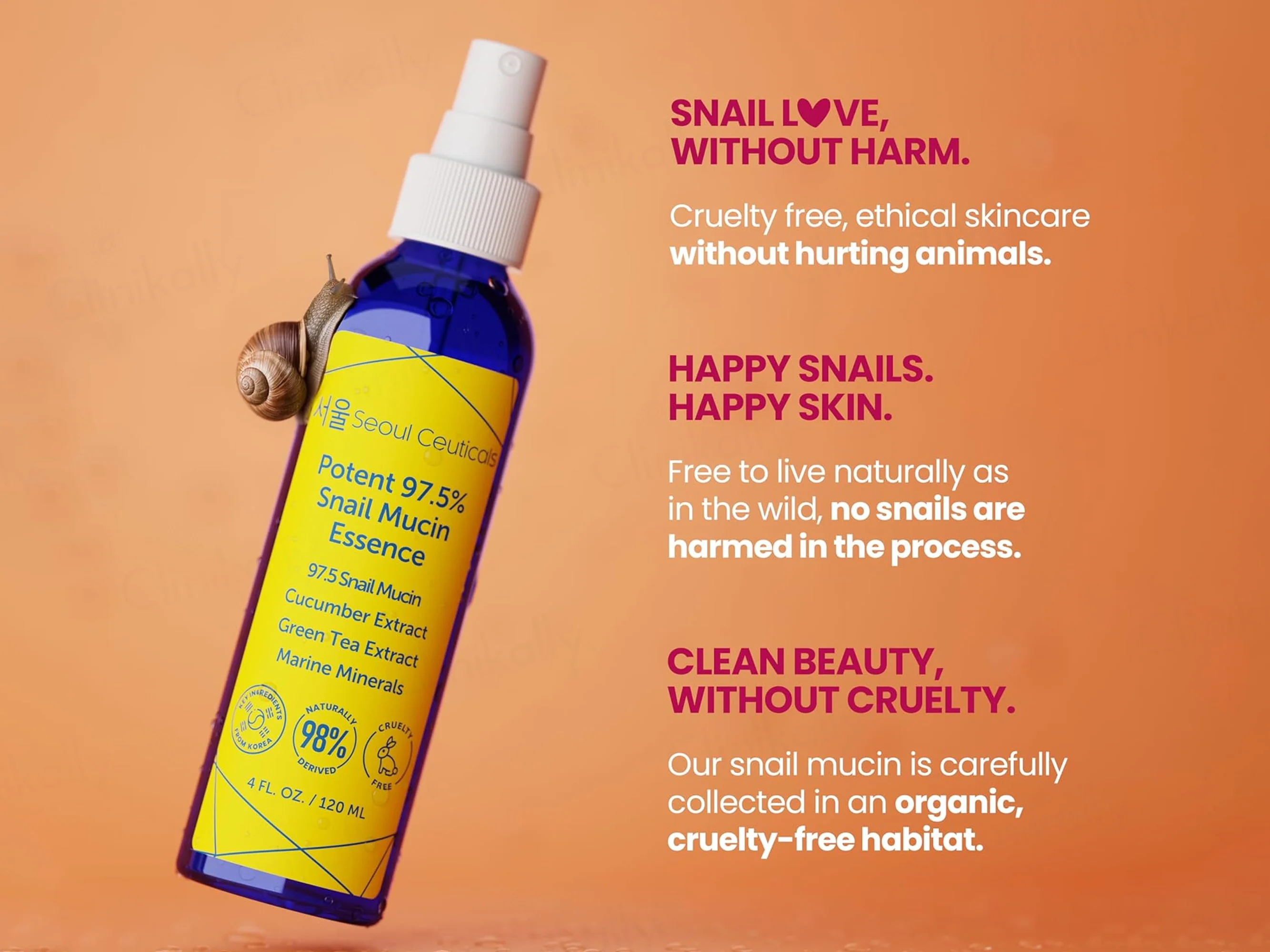SeoulCeuticals Potent 97.5% Snail Mucin Essence - Image 5